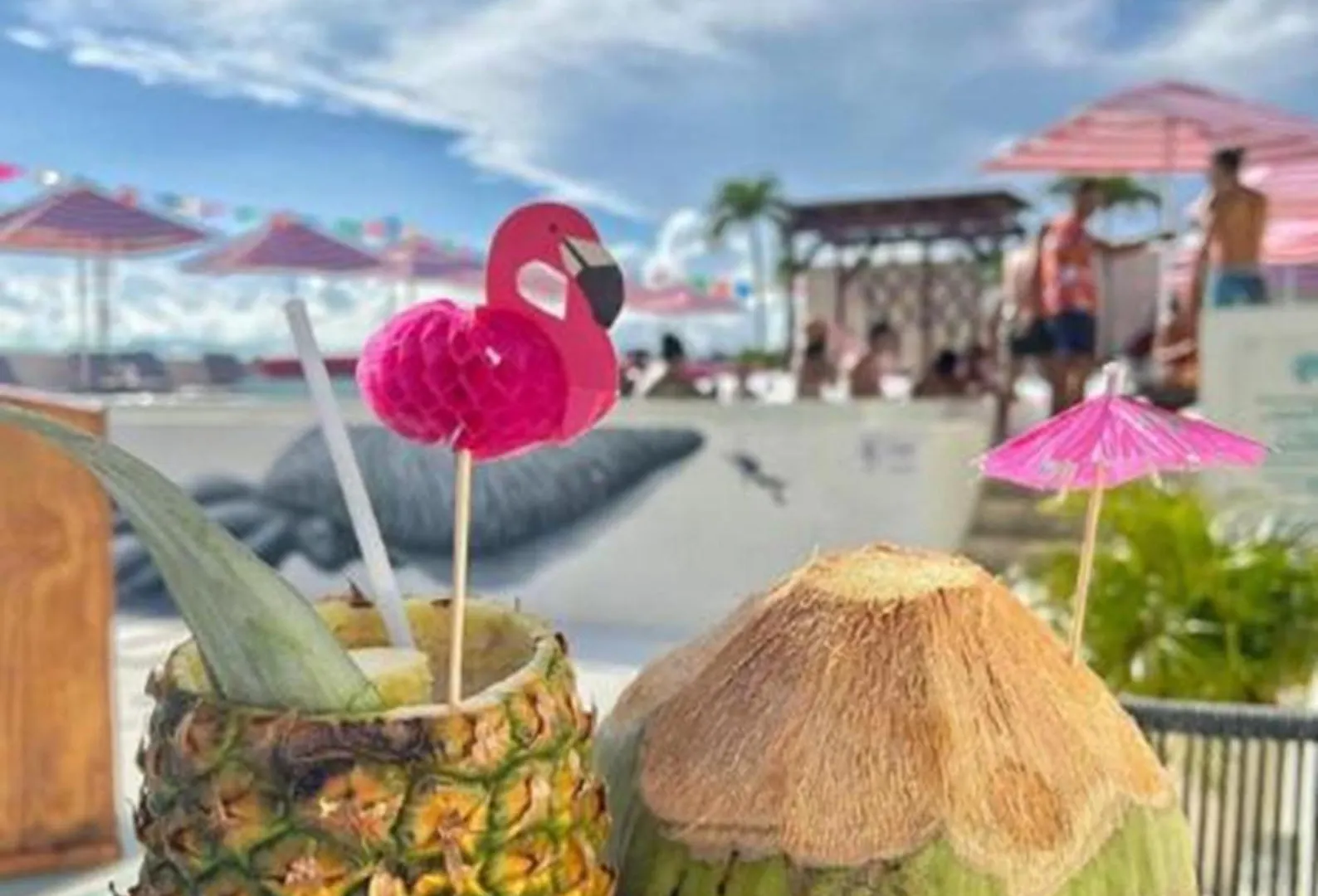 Hotel The Palm (Adults Only) Playa del Carmen 4*,