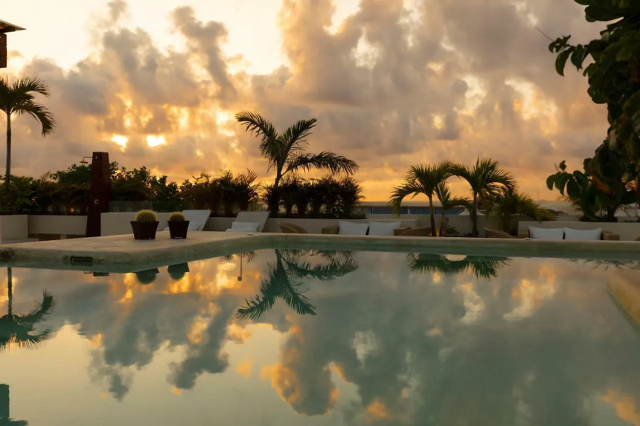 Hotel The Palm (Adults Only) Playa del Carmen